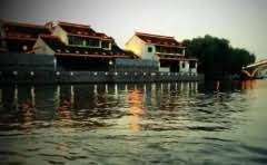 桃园可以与什么果树套种?